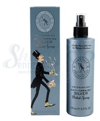 Silber Polier Spray 250 ml - Shanti Enterprise AG